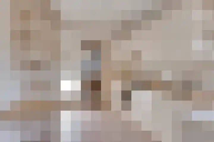 Twentelaan 4 Heerenveen thumbnail 9