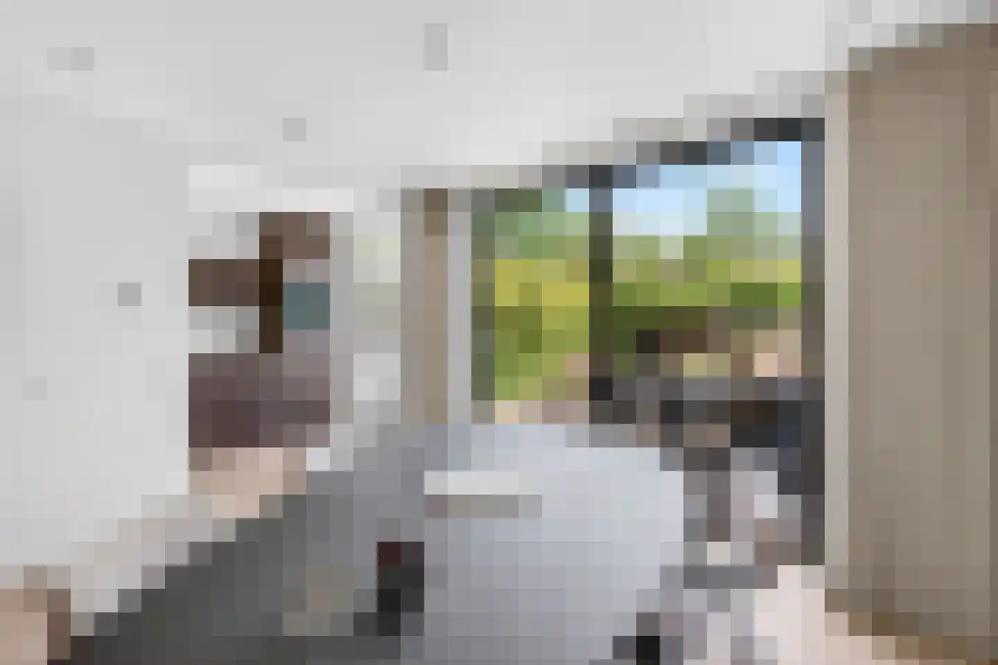 Twentepad 16 Son en Breugel thumbnail 11