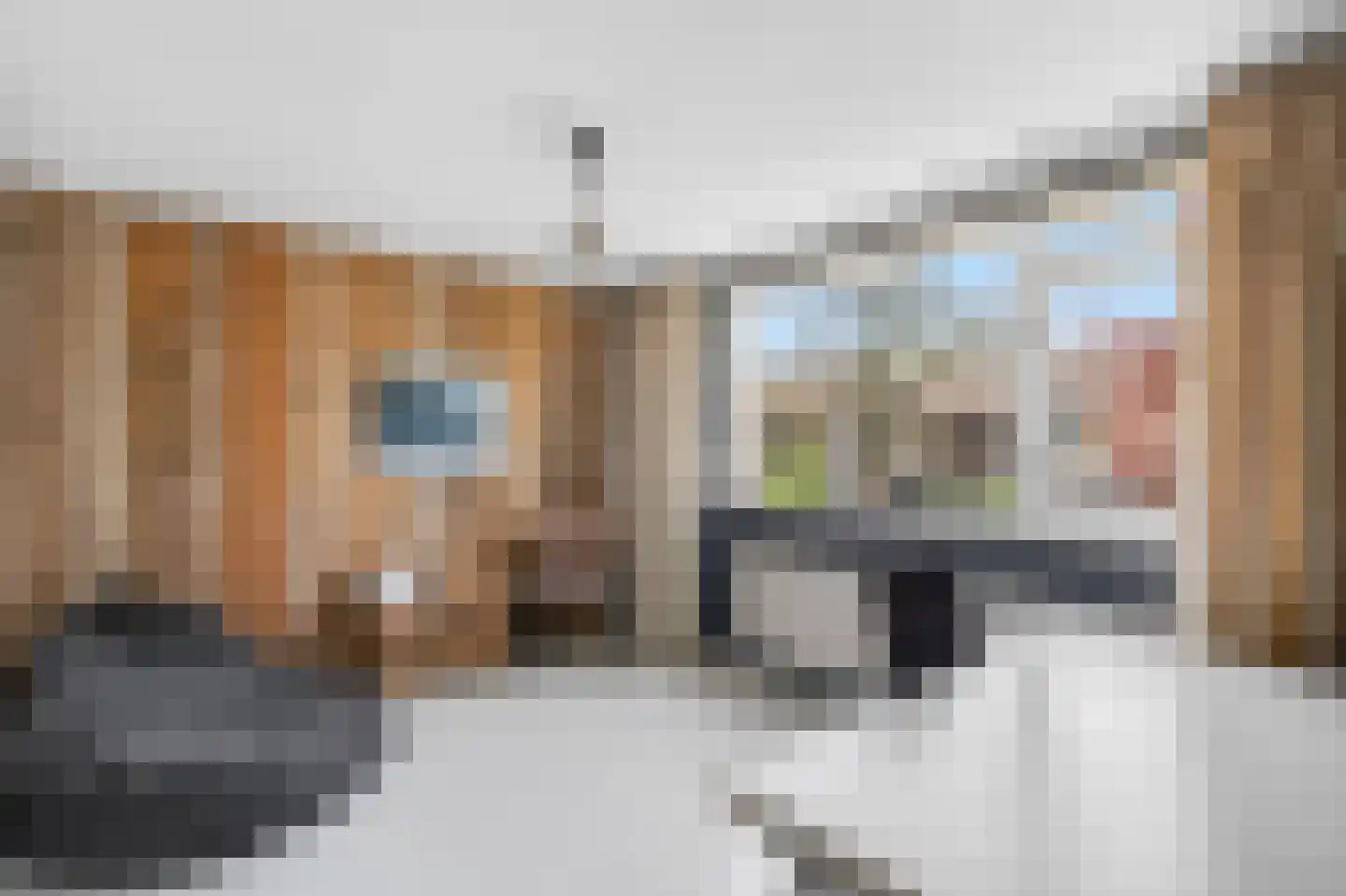 Twentepad 16 Son en Breugel thumbnail 29