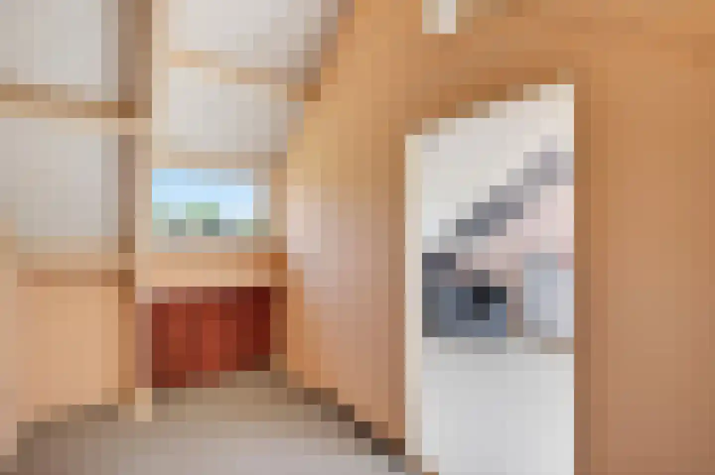 Twentepad 16 Son en Breugel thumbnail 33