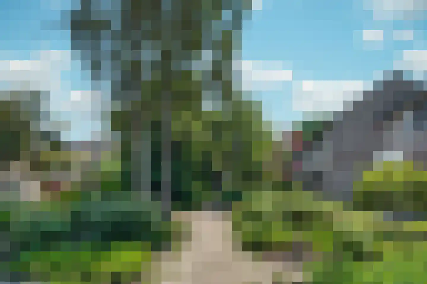 Twentepad 16 Son en Breugel thumbnail 39