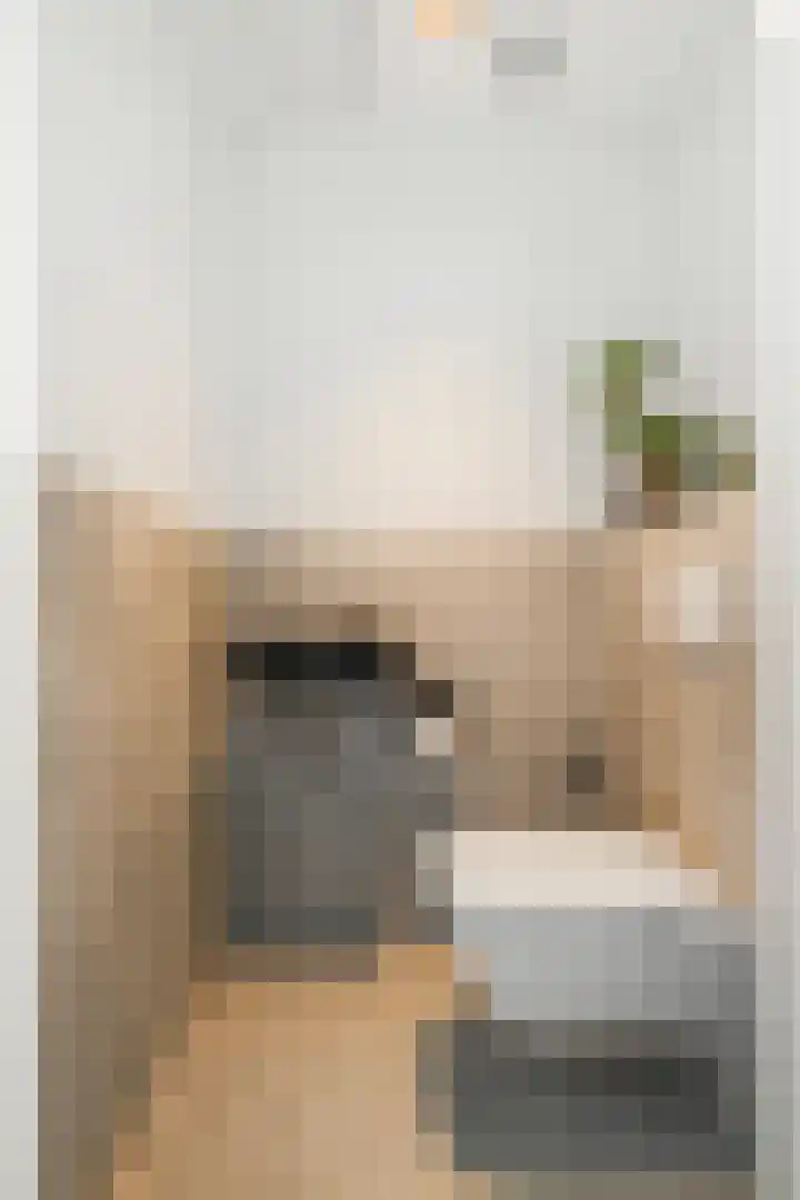 Twentestraat 114 Tilburg thumbnail 31