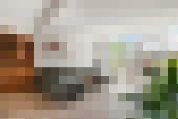 Twentestraat 2 Heemskerk thumbnail 5