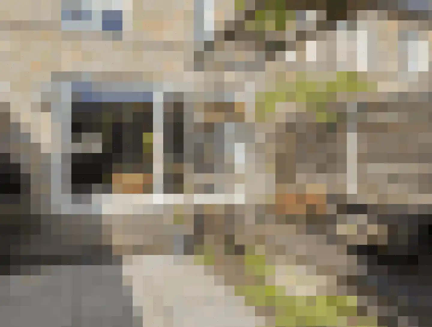 Twentestraat 50 Tilburg thumbnail 28