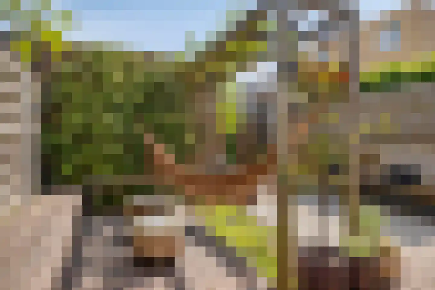 Twentestraat 50 Tilburg thumbnail 33