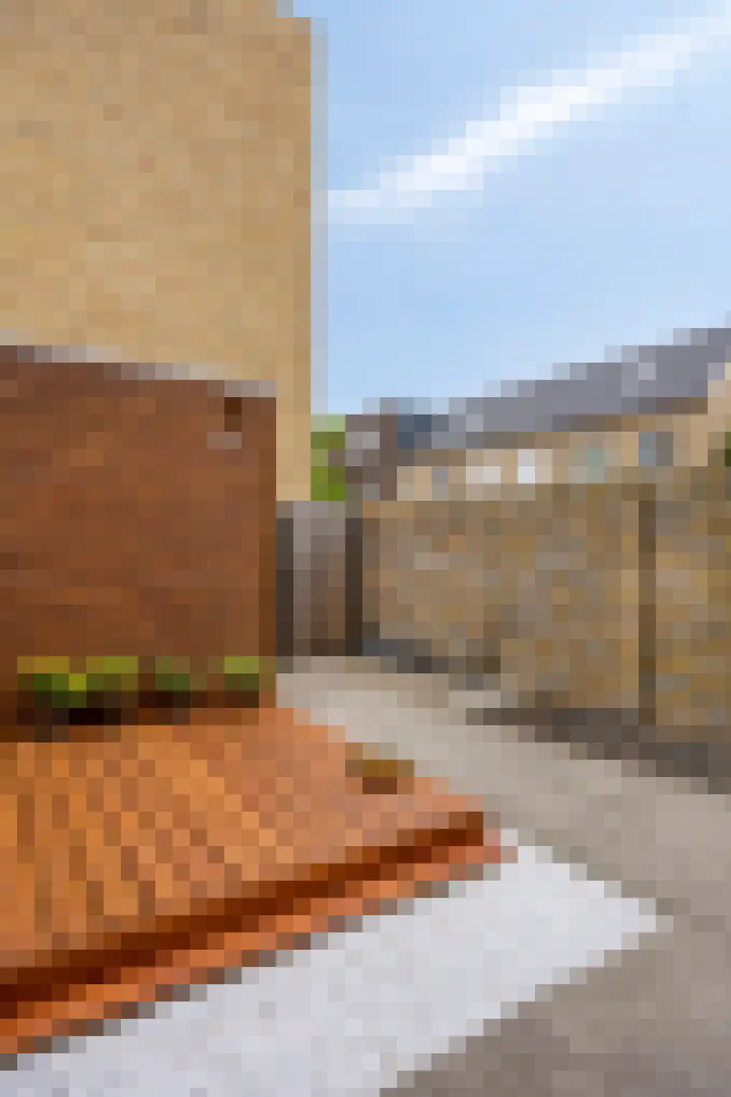 Twentestraat 58 Tilburg thumbnail 39