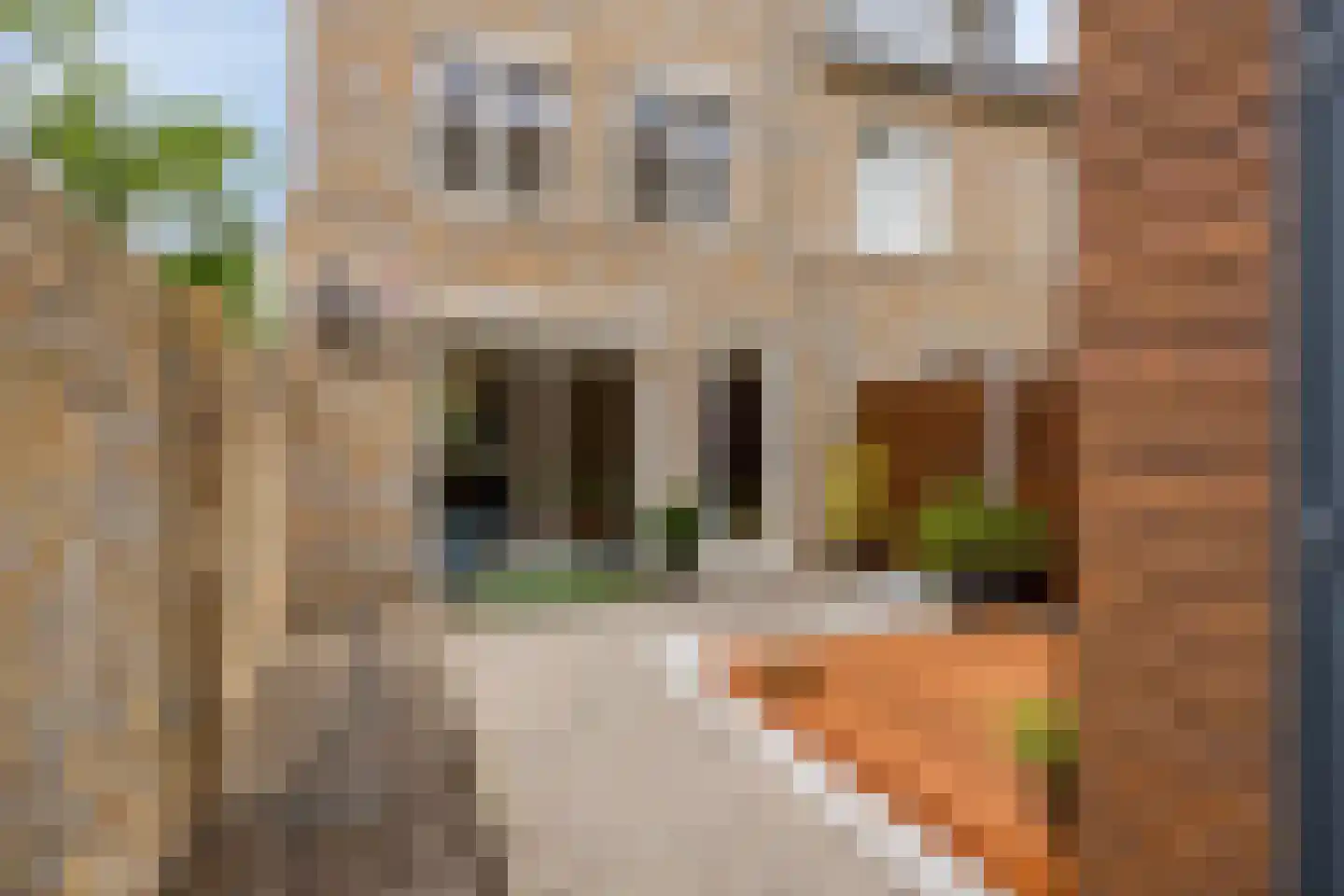 Twentestraat 58 Tilburg thumbnail 40