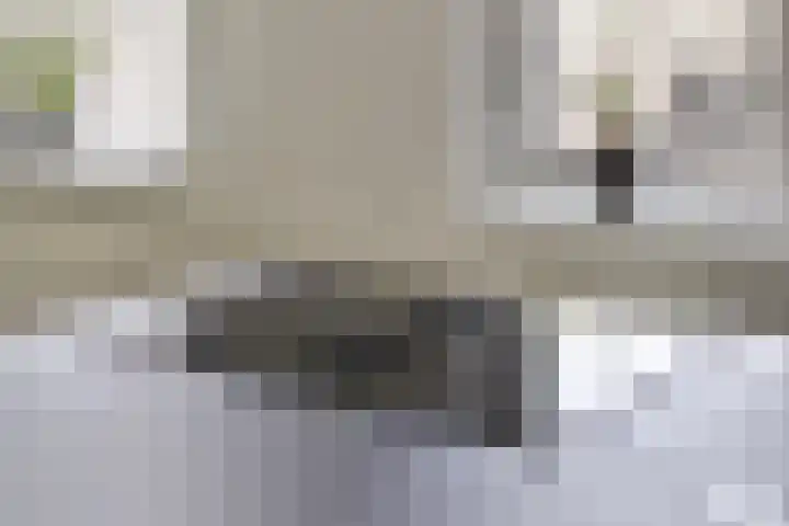 Twenthe 13 Assen thumbnail 18