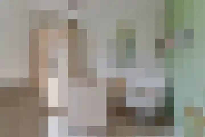 Twenthe 13 Assen thumbnail 27
