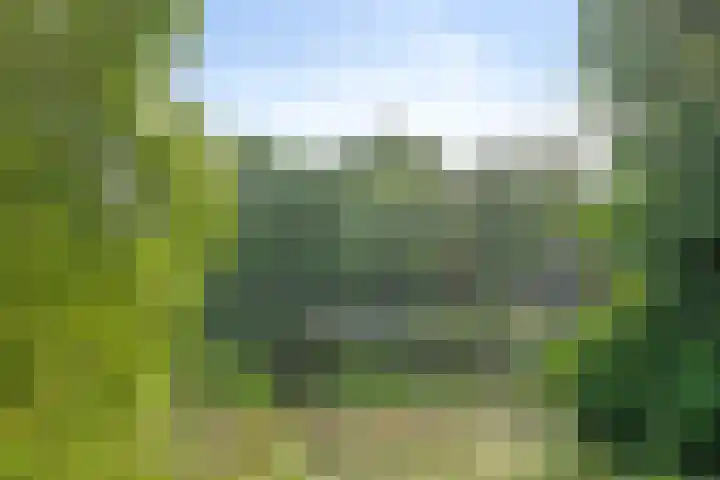 Twenthe 13 Assen thumbnail 49