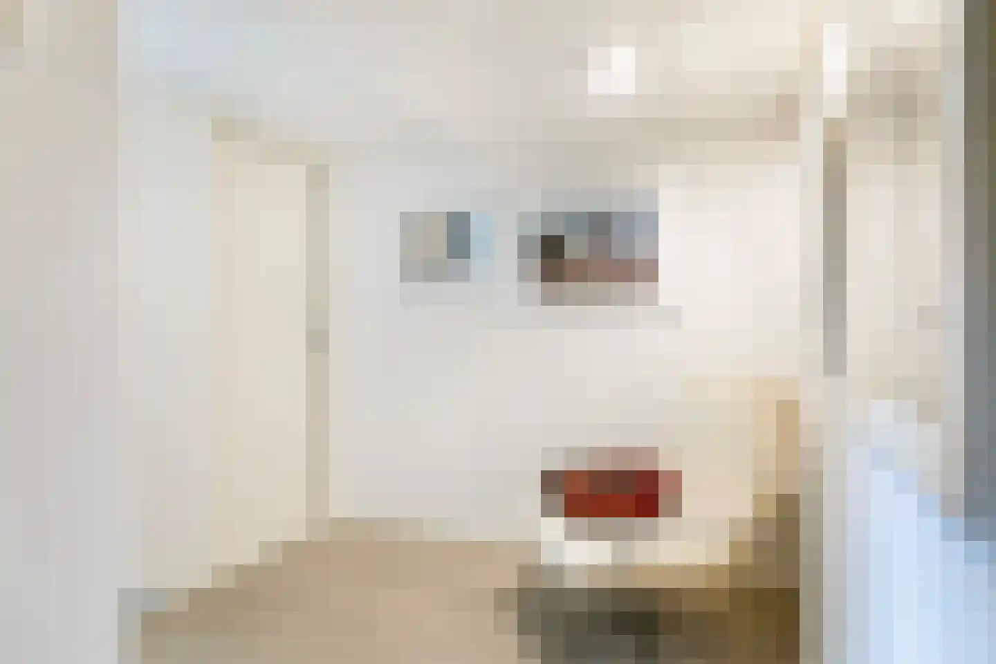 Twentseweg 110 Heino thumbnail 24