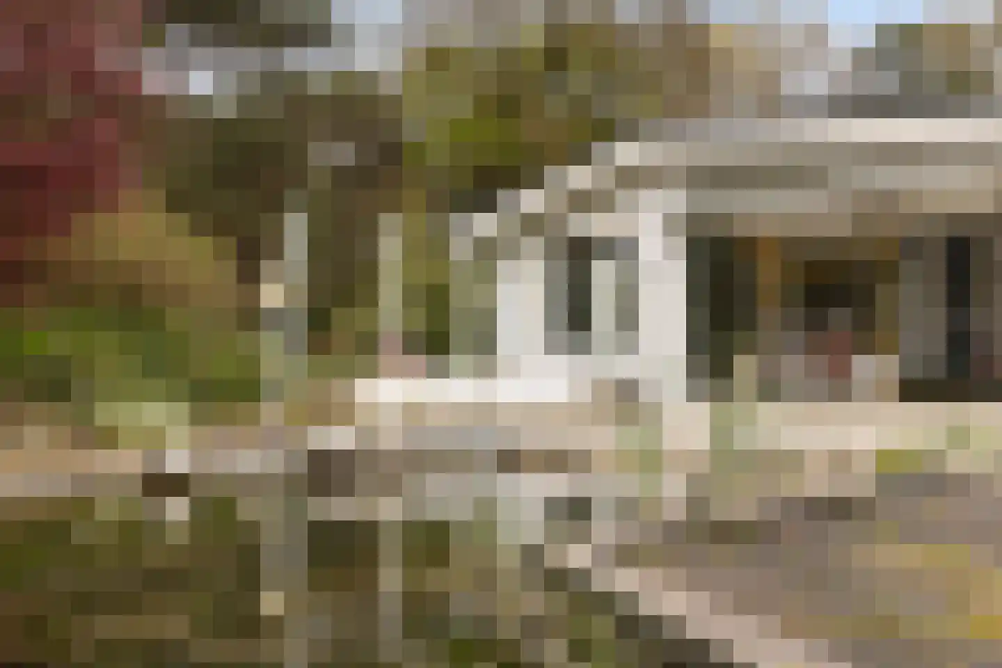 Twentseweg 110 Heino thumbnail 31