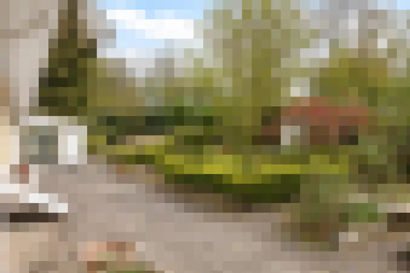 Twentseweg 110 Heino thumbnail 32