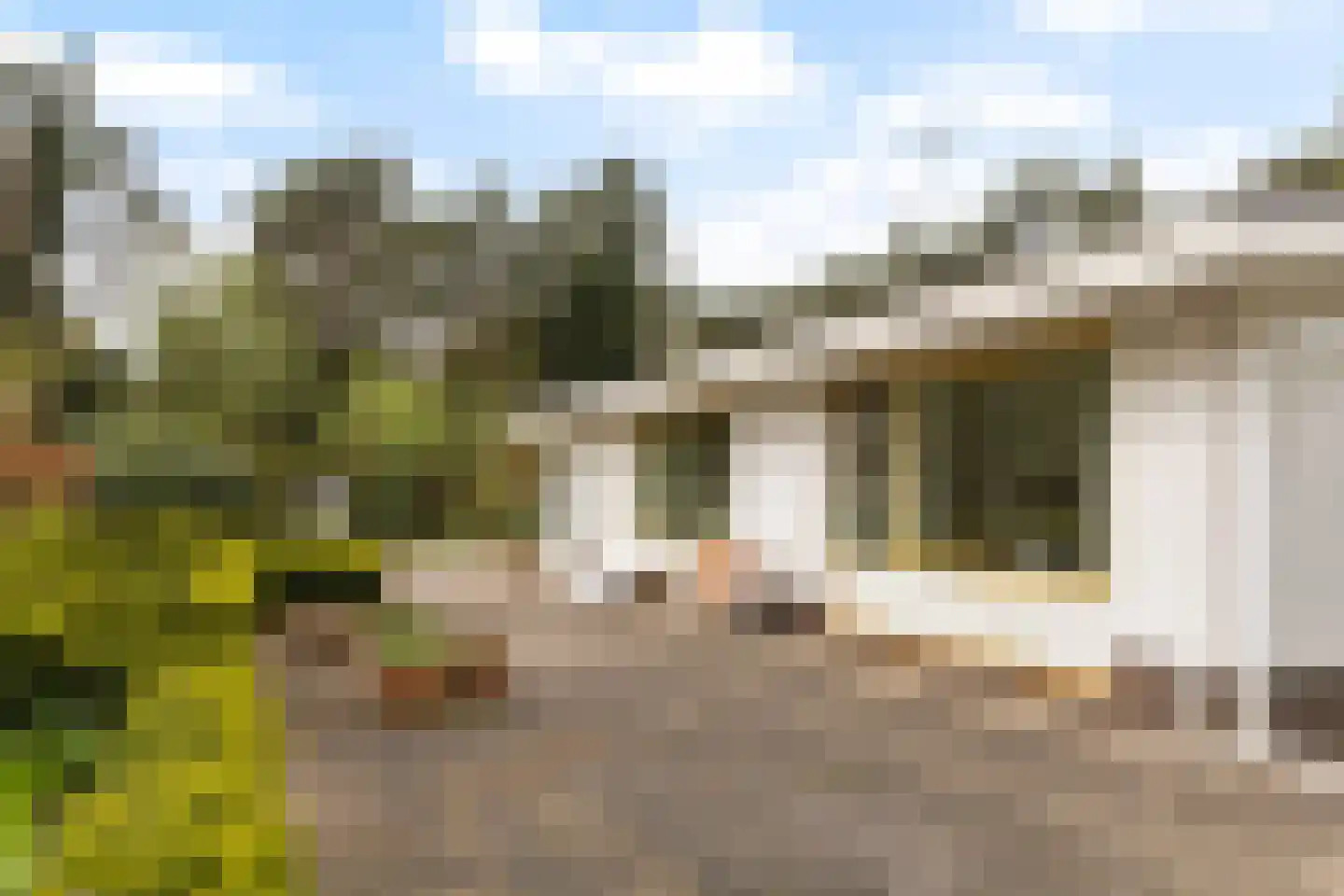 Twentseweg 110 Heino thumbnail 33
