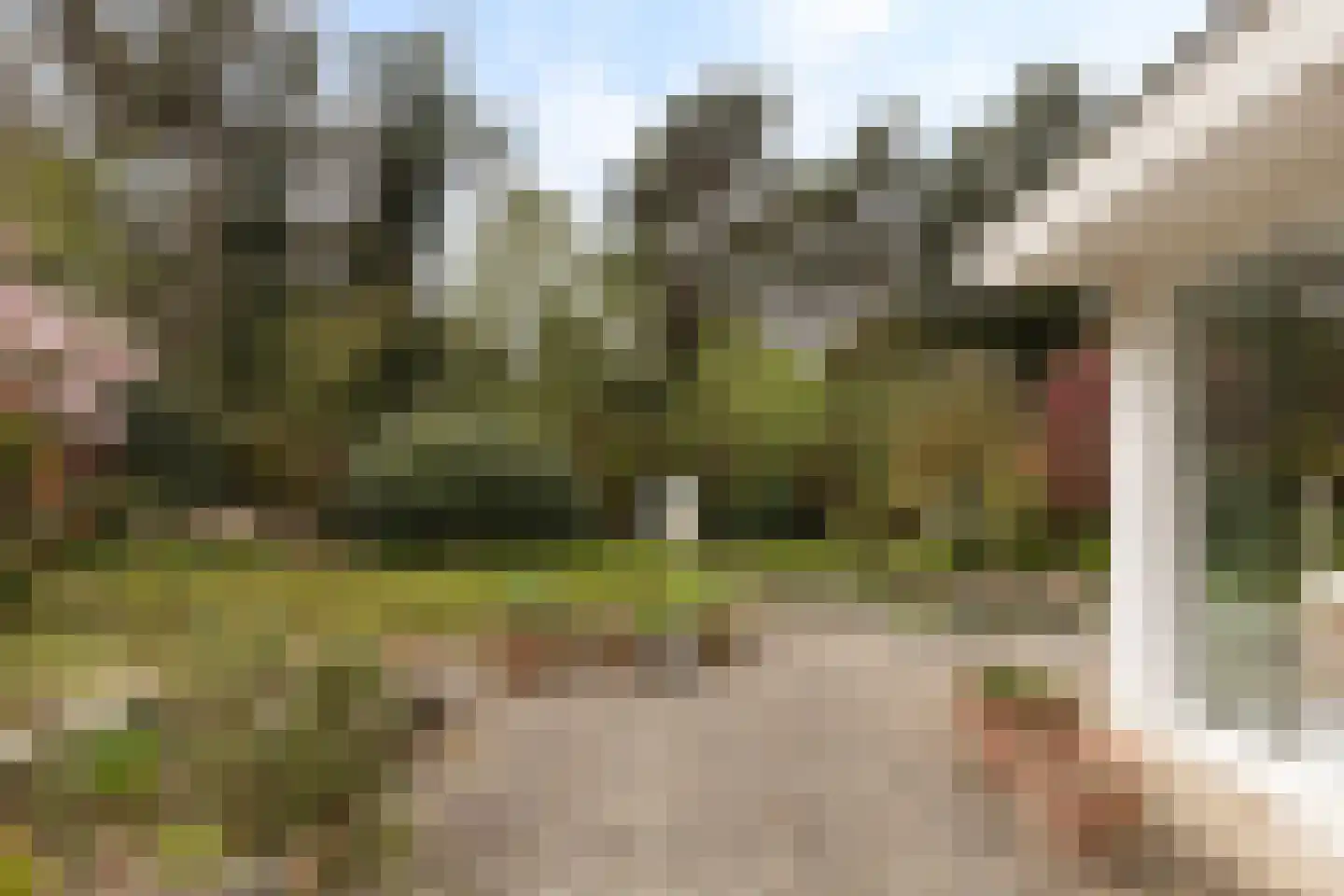 Twentseweg 110 Heino thumbnail 34