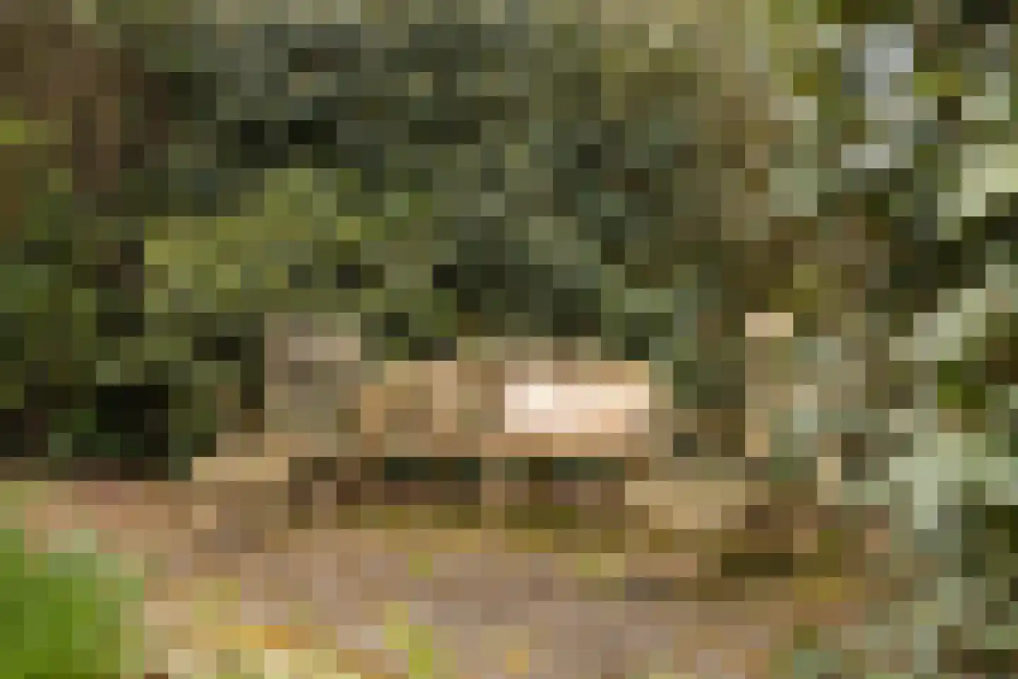 Twentseweg 110 Heino thumbnail 35