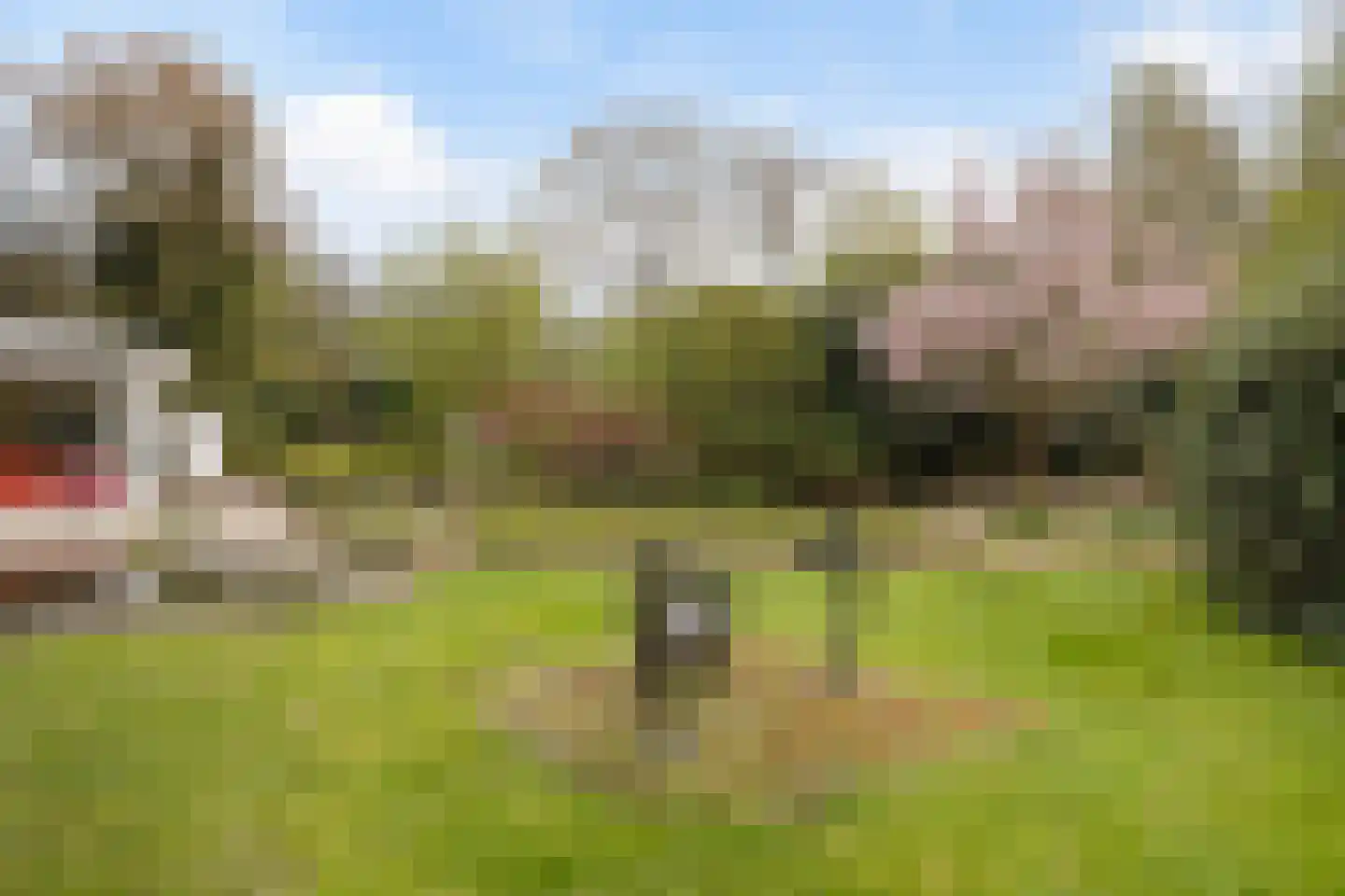 Twentseweg 110 Heino thumbnail 36