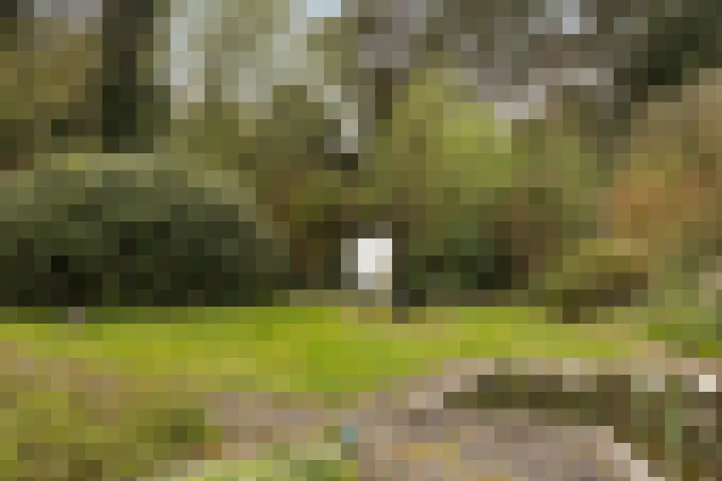 Twentseweg 110 Heino thumbnail 37
