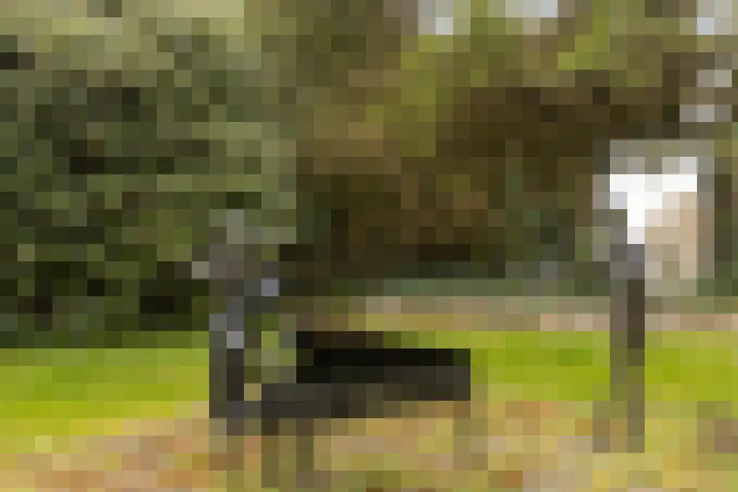 Twentseweg 110 Heino thumbnail 38
