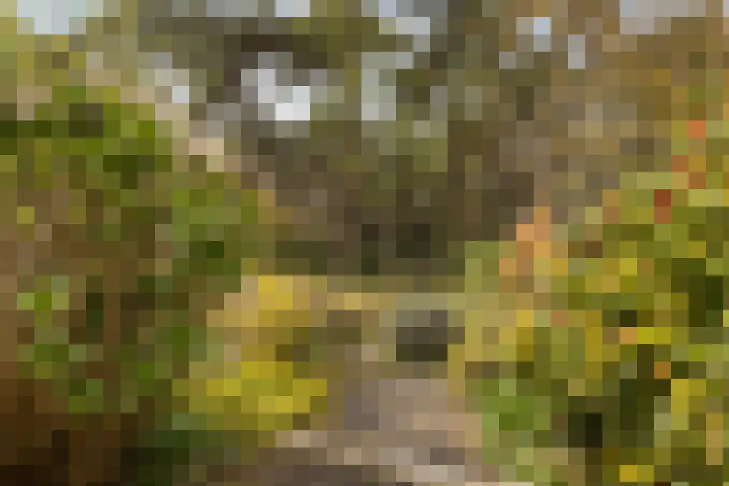 Twentseweg 110 Heino thumbnail 41