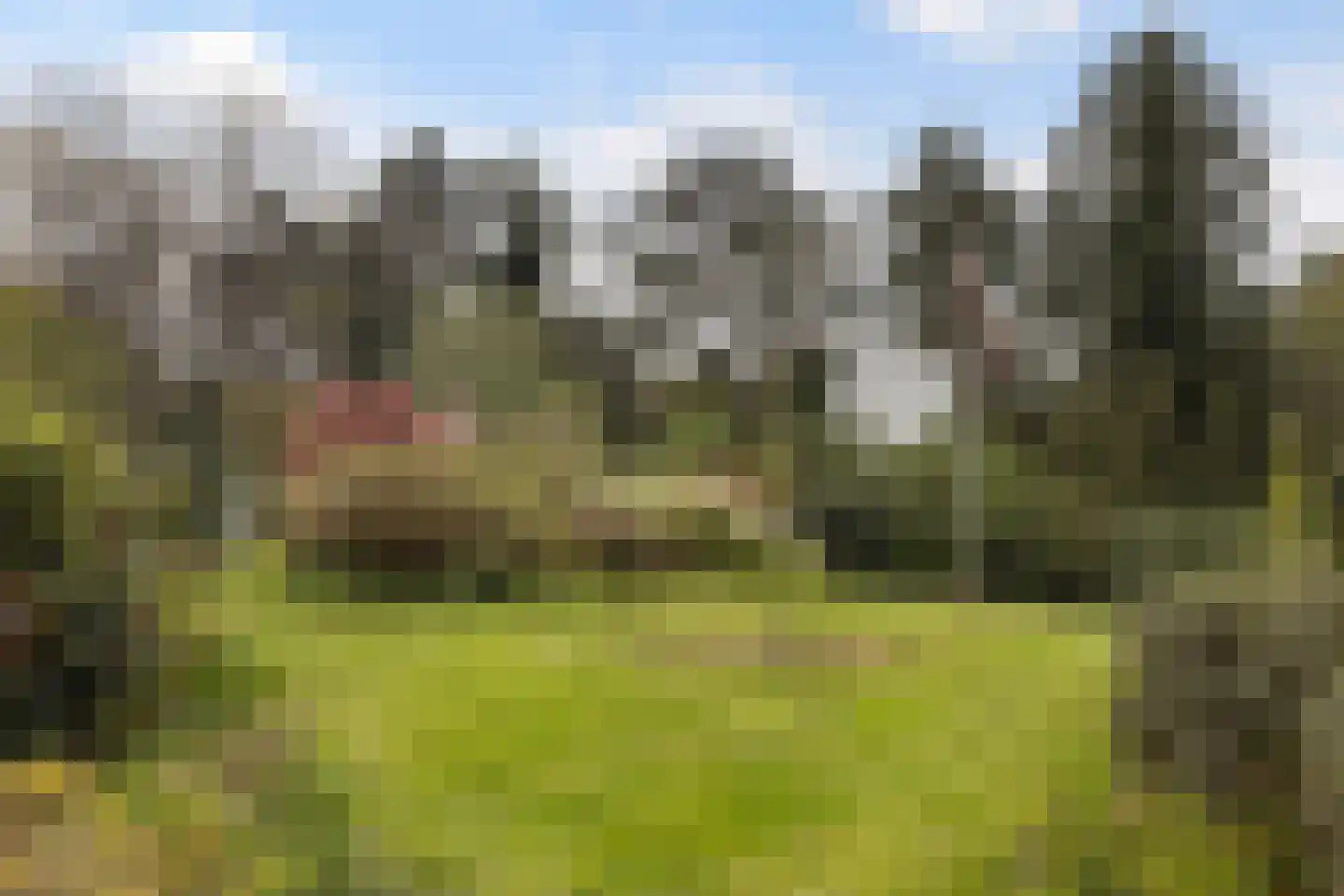 Twentseweg 110 Heino thumbnail 43