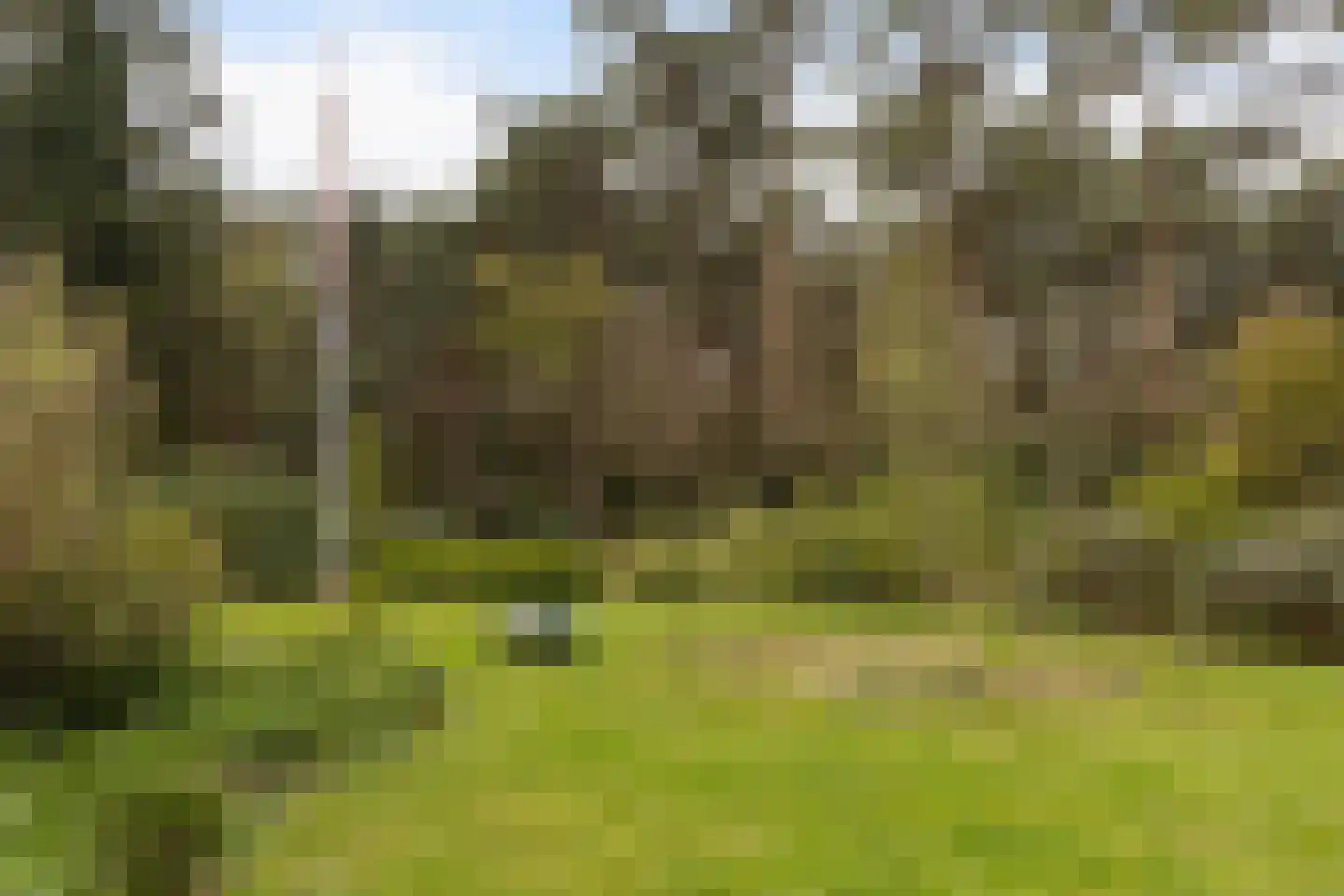 Twentseweg 110 Heino thumbnail 44