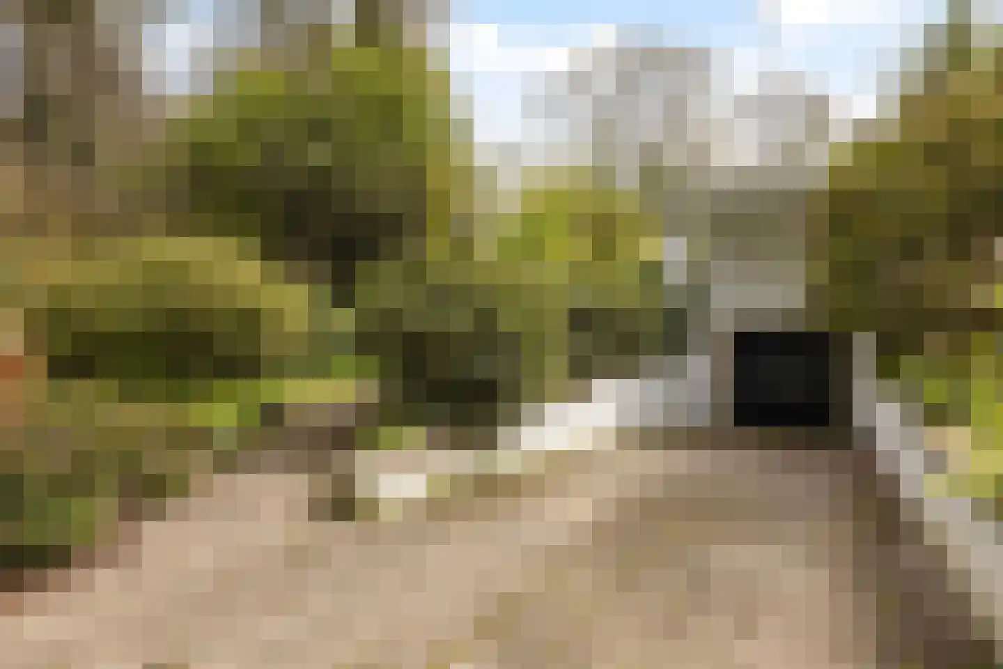Twentseweg 110 Heino thumbnail 45