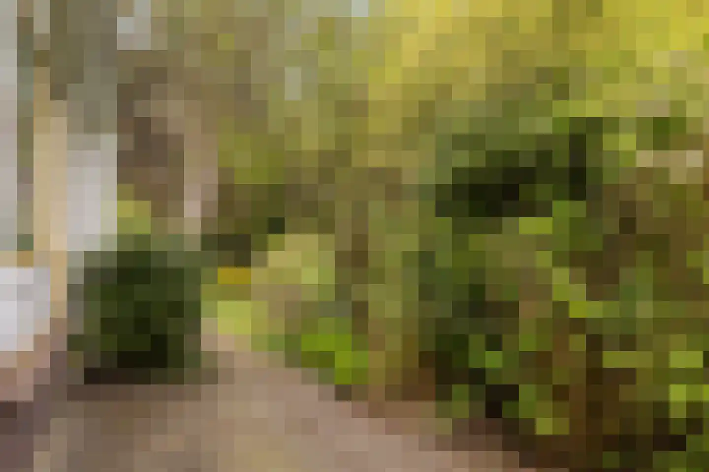 Twentseweg 110 Heino thumbnail 46