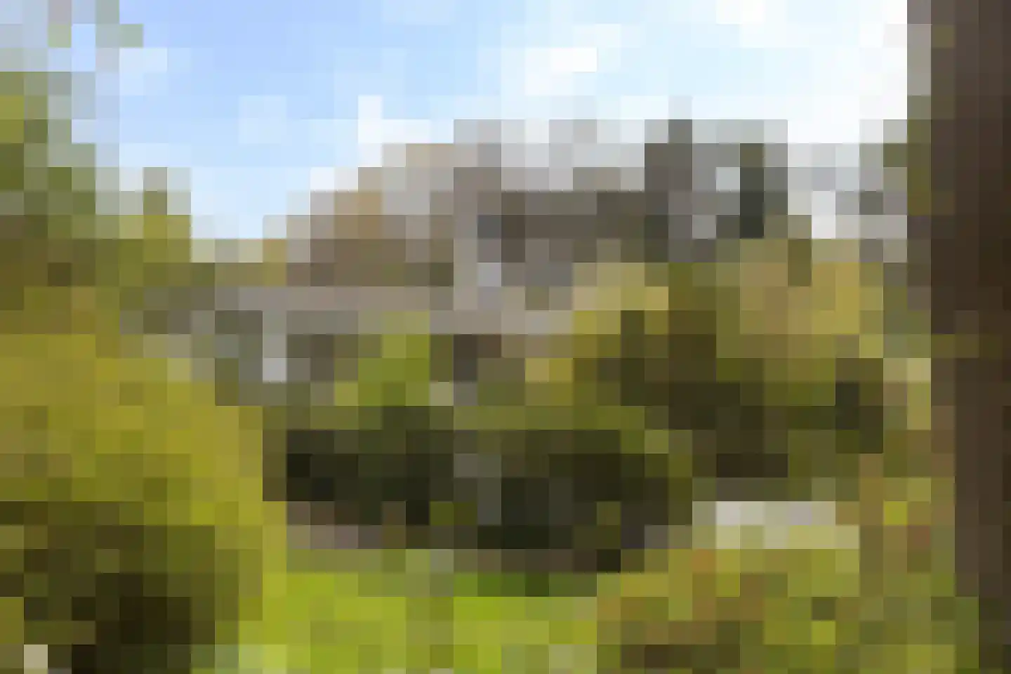 Twentseweg 110 Heino thumbnail 47