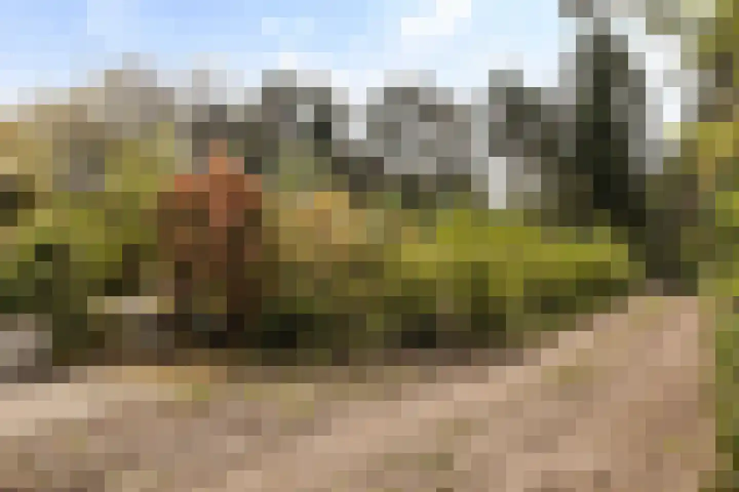 Twentseweg 110 Heino thumbnail 48