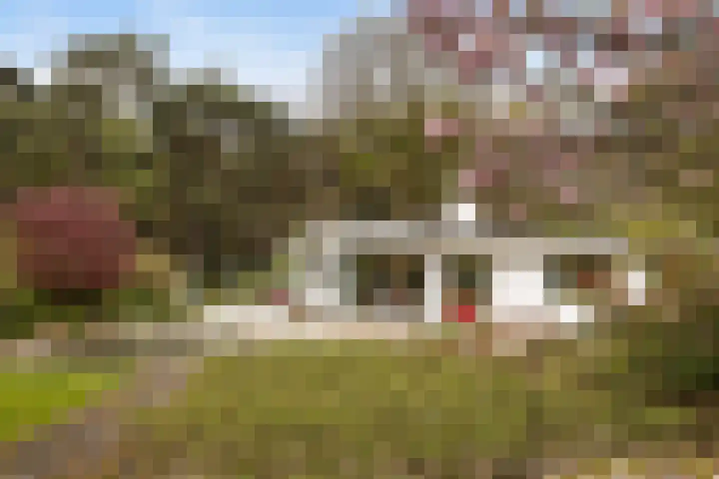 Twentseweg 110 Heino thumbnail 49