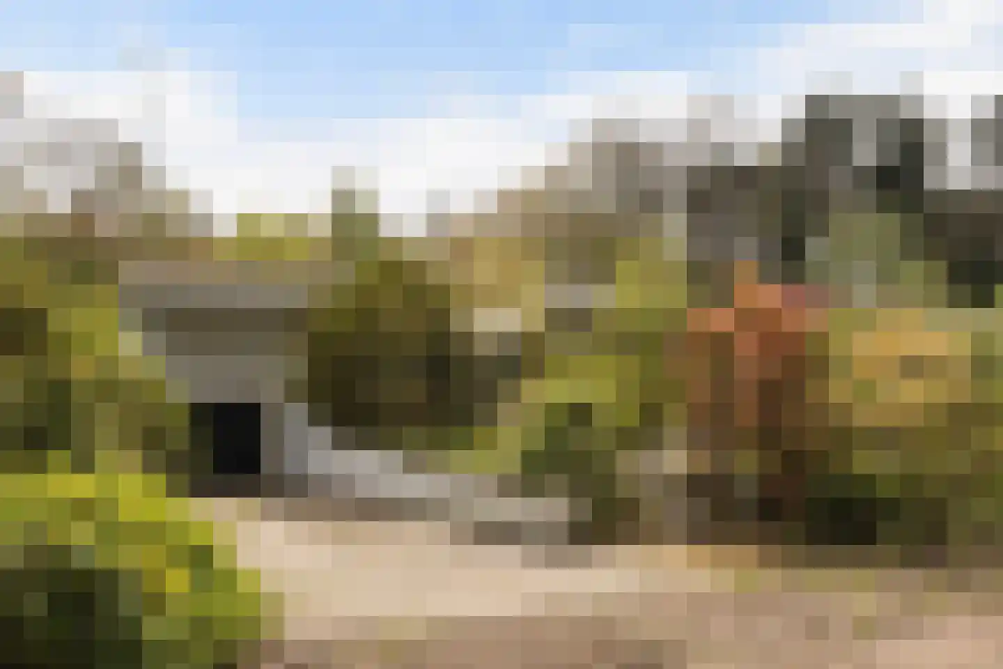 Twentseweg 110 Heino thumbnail 5