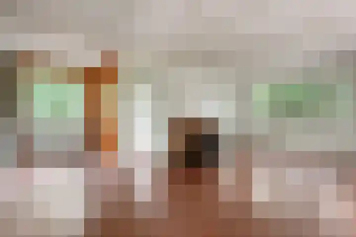 Twentseweg 164 Heino thumbnail 10
