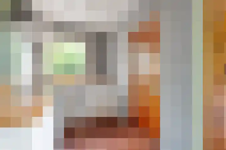 Twentseweg 164 Heino thumbnail 11