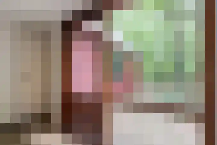Twentseweg 164 Heino thumbnail 14