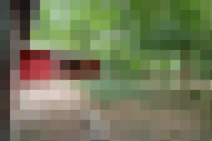 Twentseweg 164 Heino thumbnail 18