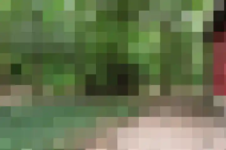 Twentseweg 164 Heino thumbnail 19