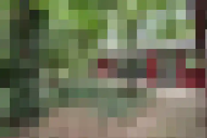 Twentseweg 164 Heino thumbnail 20
