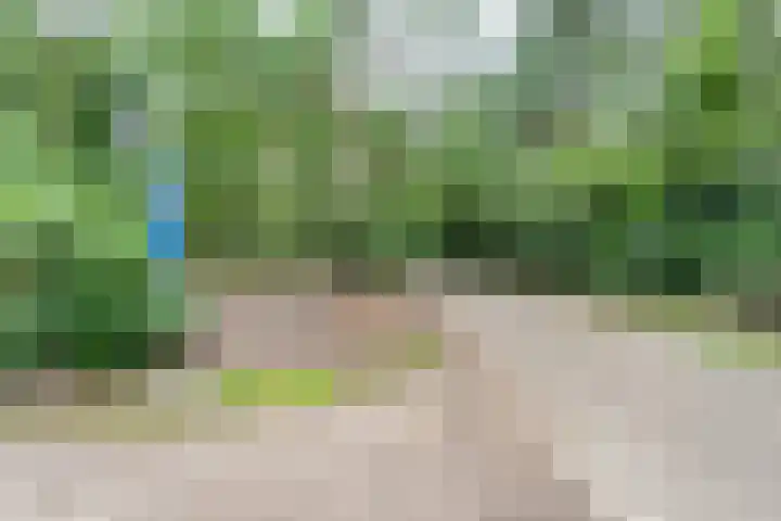 Twentseweg 164 Heino thumbnail 22