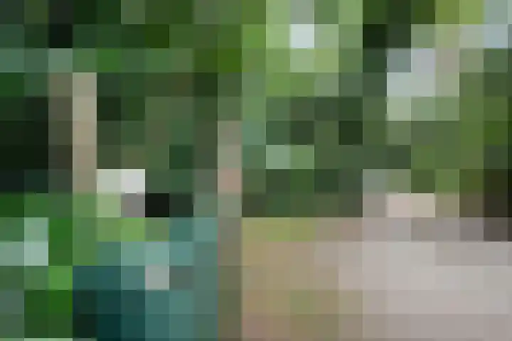 Twentseweg 164 Heino thumbnail 23