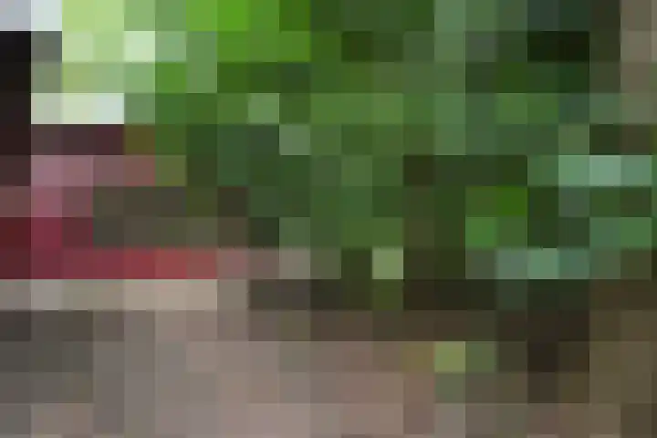 Twentseweg 164 Heino thumbnail 24