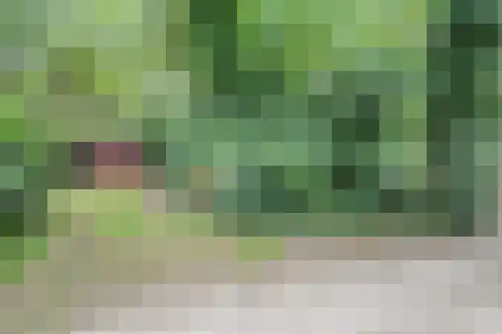 Twentseweg 164 Heino thumbnail 25