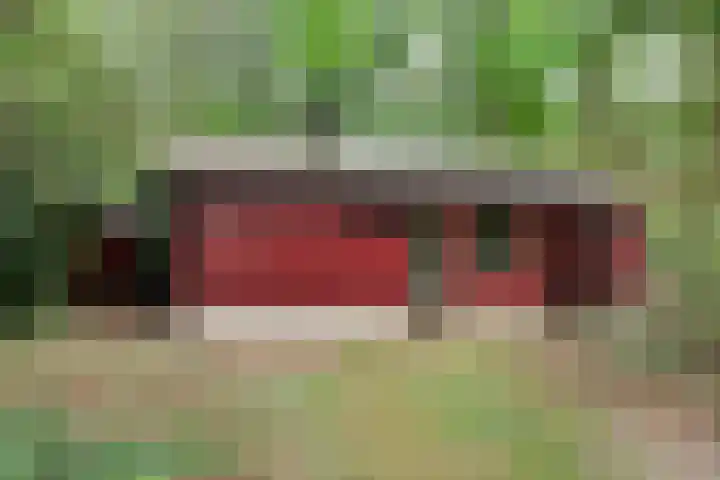 Twentseweg 164 Heino thumbnail 26