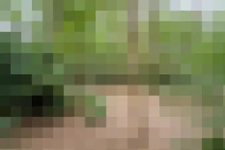 Twentseweg 164 Heino thumbnail 27
