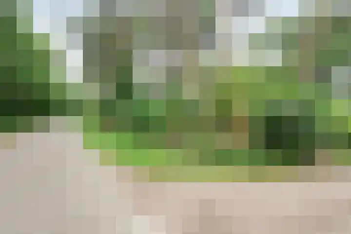Twentseweg 164 Heino thumbnail 28