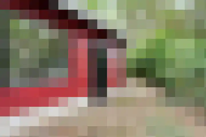Twentseweg 164 Heino thumbnail 4