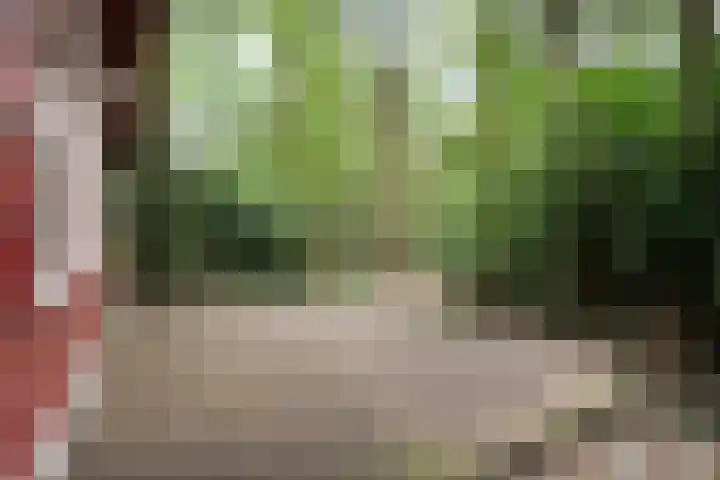 Twentseweg 164 Heino thumbnail 5