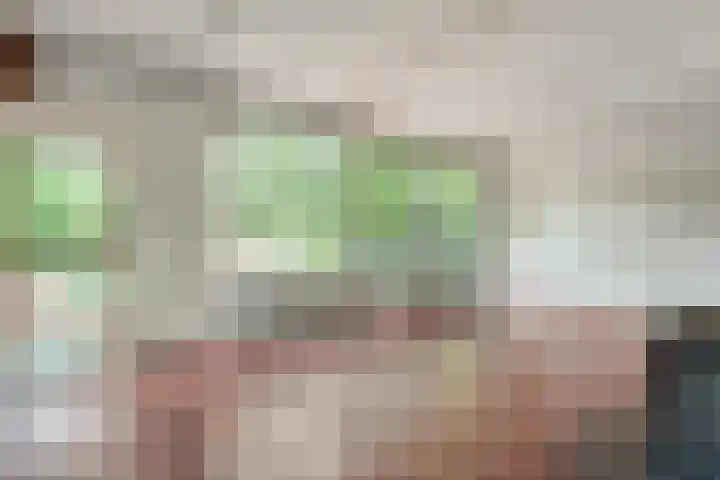 Twentseweg 164 Heino thumbnail 8