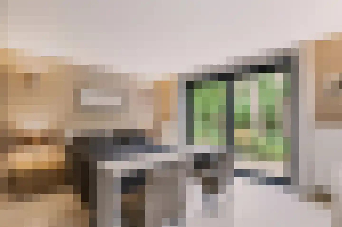 Twentseweg 74 Heino thumbnail 20