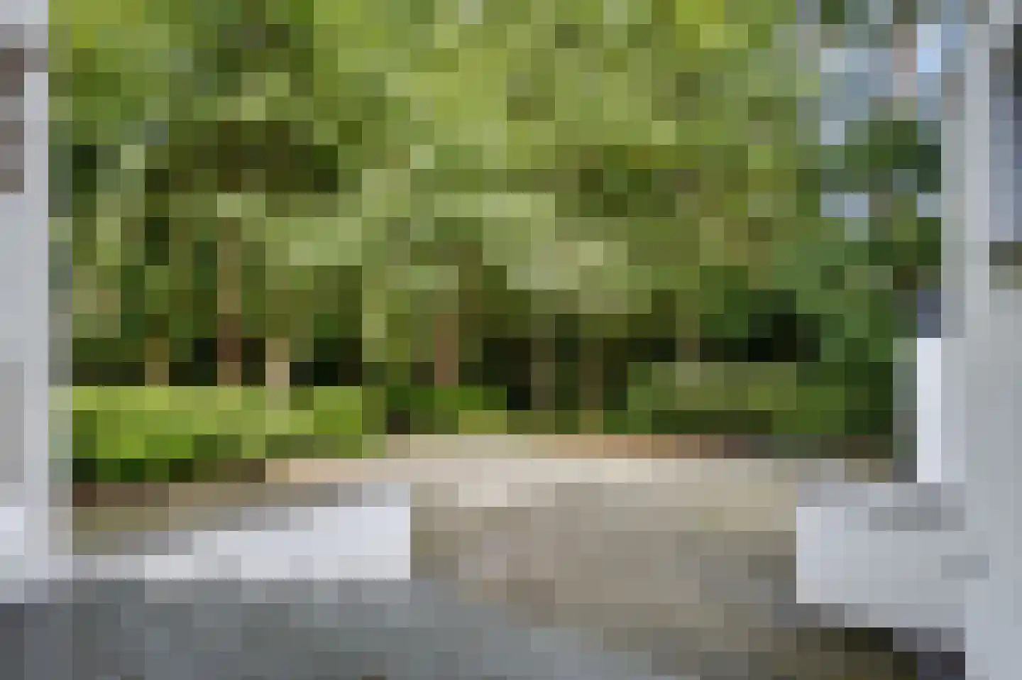 Twentseweg 74 Heino thumbnail 31